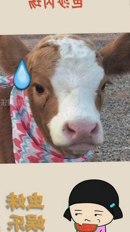 明星背后的真实故事：娱乐圈的隐秘纹理与人物动态