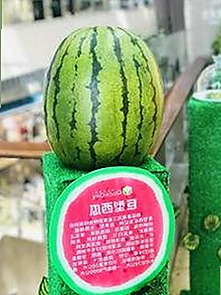 揭秘娱乐圈幕后黑料视频与明星故事