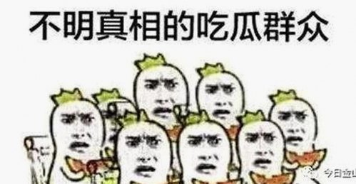 娱乐圈幕后揭秘：网红曝光背后的黑料与真相