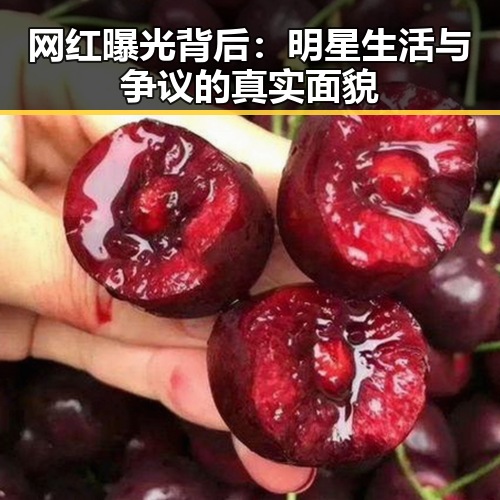 网红曝光背后：明星生活与争议的真实面貌